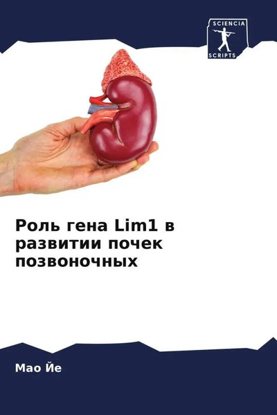 Rol' Gena Lim1 W Razwitii Pochek Pozwonochnyh Mao Je Taschenbuch Russisch 2022-image
