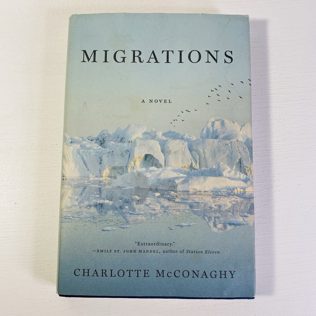 Migrations : A Novel by Charlotte McConaghy (2020, Hardcover Migrations : A Novel by Charlotte McConaghy (2020, Hardcover