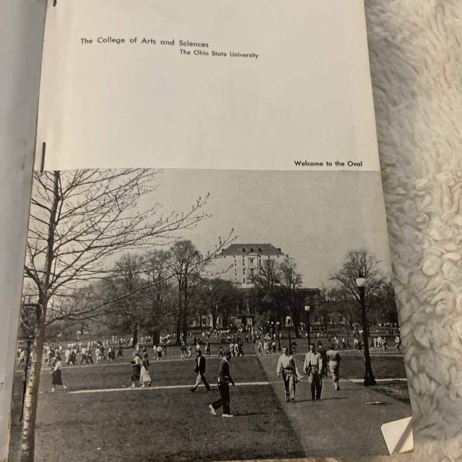 Picture 4 of 5
