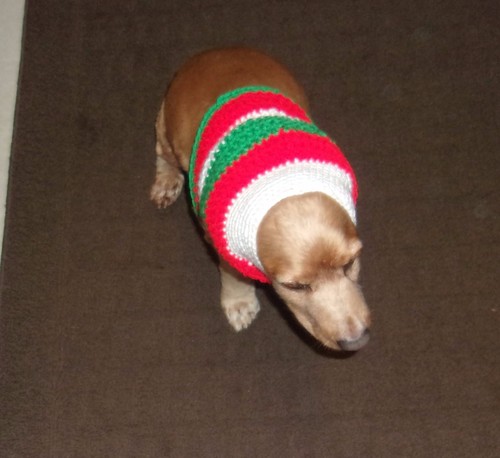 Handmade Red Green White Dog Snood Neck Warmer Keeps Ears Clean Brand New - Bild 5 von 5