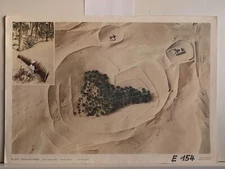 Oase Sahara Algier Date Palm Gypsum Bedouin Arab Sand 92x64 Wall Picture 1974