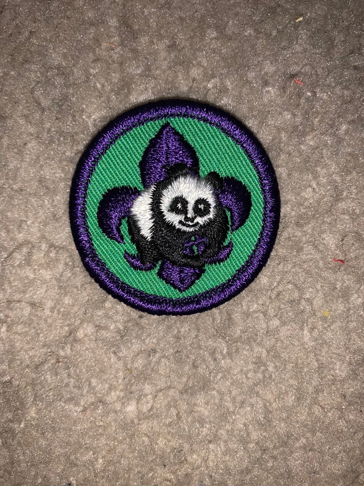 Boy Scout BSA World Conservation Award Panda Bear Green Silver Dollar