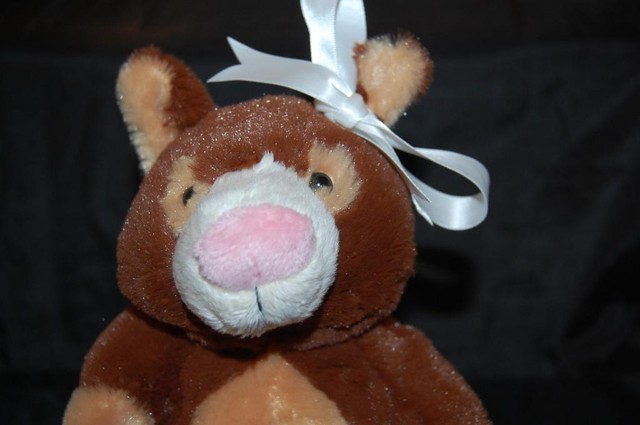tree kangaroo webkinz