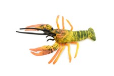 Crawfish, Crayfish, Realistic, Toy Model, Educational, Gift, 4 1/2" CH303 BB129