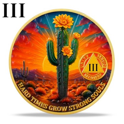 3 Year Sobriety Coin Alcoholics Anonymous AA Chips Medallion Three Years Sober