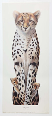Peek-a-Boo Gepard von Warwick Higgs. reproduktionsdruck