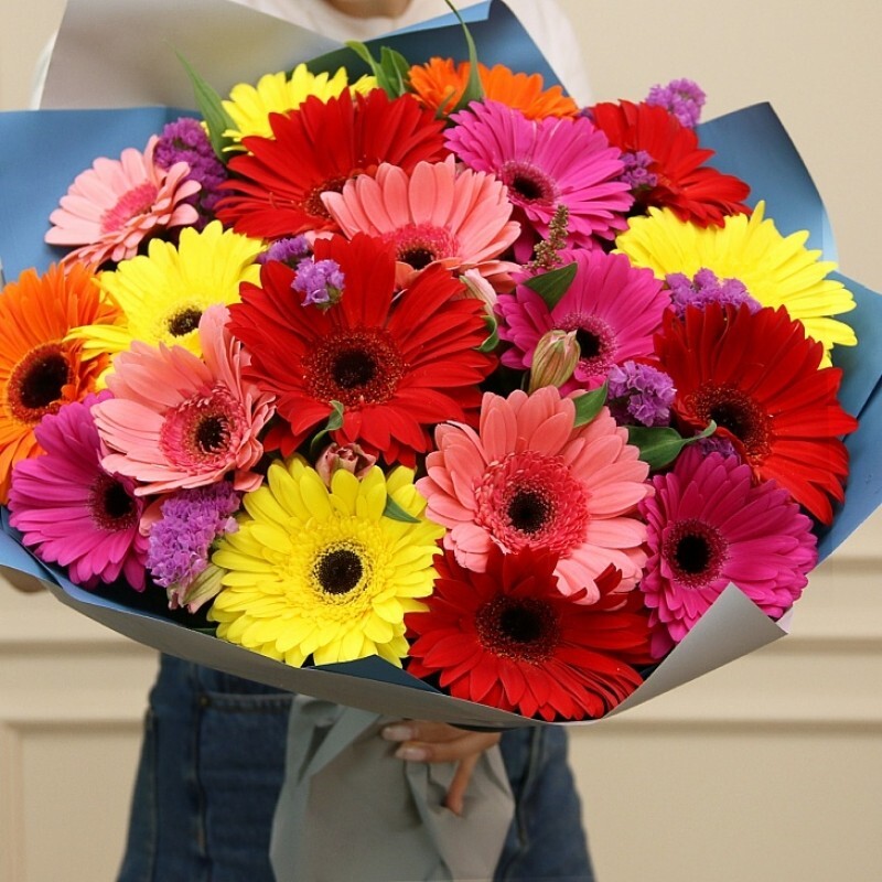 Gerbera Seeds Mix Perennial flowers from Ukraine 5 pcs. eBay