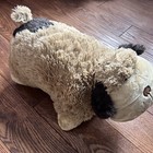 Foto 10 di 10