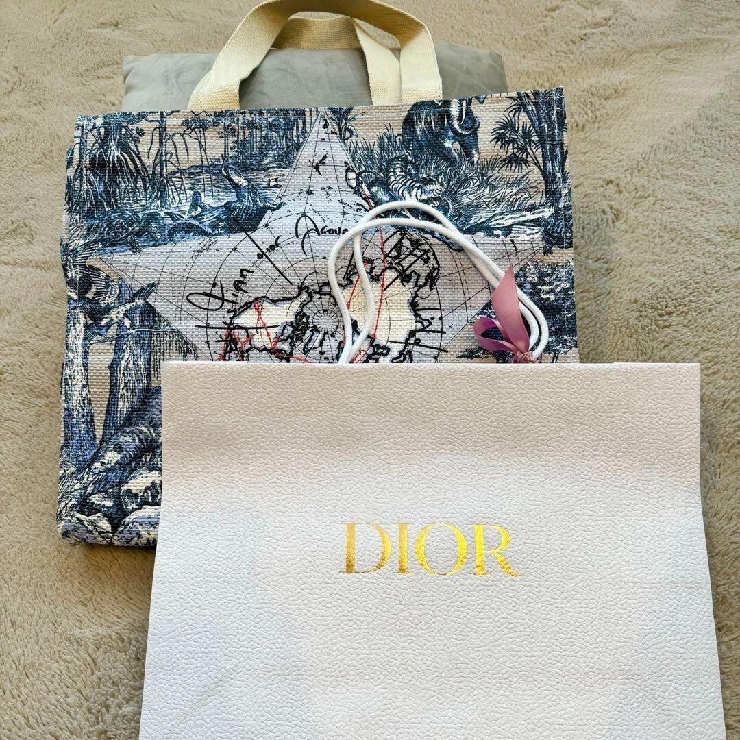 Sac fourre tout d'anniversaire membre platine Dior Japon sac fourre tout cadeau nouveauté pas à vendre