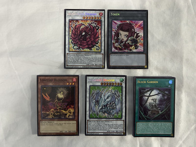 BLACK ROSE DRAGON FULL 40 CARD DECK & 15 CARD EXTRA DECK AKIZA STARDUST DRAGON!