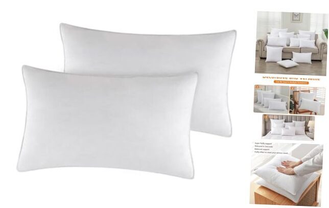Throw Pillow Inserts 14