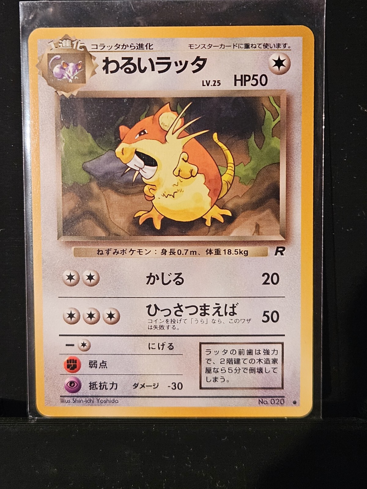 DARK RATICATE No. 020 - Team Rocket - 1996 VINTAGE Japanese POKEMON CARD - NM