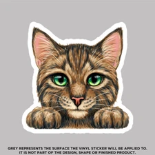 Cute Cat With Green Eyes, High Quality Vinyl Stickers