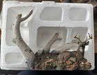 Deer Plate Holder Deer Buck laying down in the WoodsNo box just in the packaging — photo 9