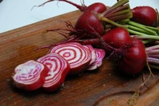 BEETS CHIOGGIA 200 NON - HYBRID  NON - GMO Seeds Heirloom!