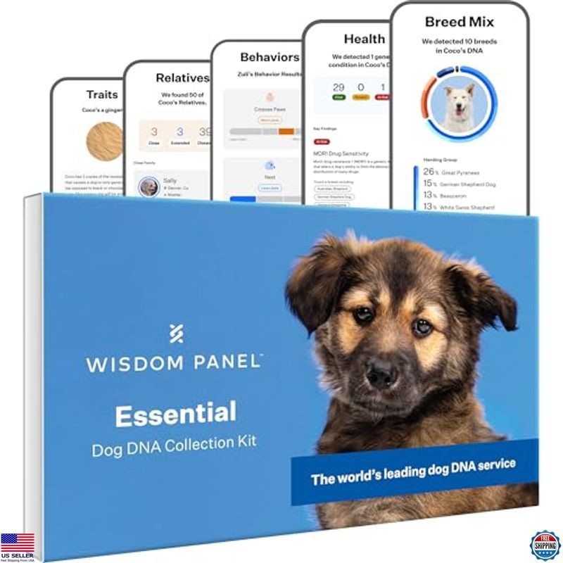 Dog DNA Test Kit 365+ Breeds, 30 Health Conditions, 50+ Traits - Main Image