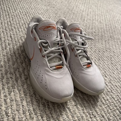 Size 10 - Nike LeBron 21 Akoya - FV2345-001