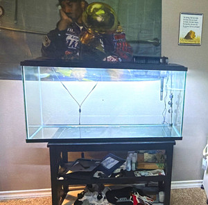 55 Gallon Glass Rectangular Aquarium Tank w/ Metal Stand, heater, LED, Filter,