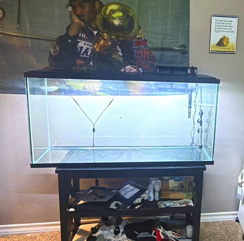 55 Gallon Glass Rectangular Aquarium Tank w/ Metal Stand, heater, LED, Filter,