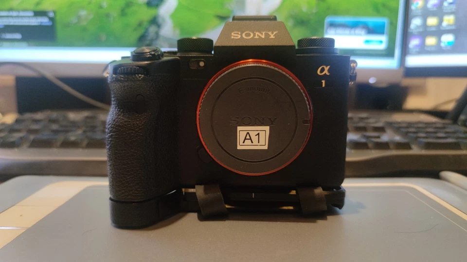 Sony Alpha 1, foto 1 di 3