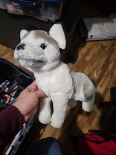 12 Blue Eyed Husky Puppy Plush Rare