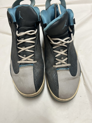 Air Jordan Dub Zero Wolf Grey Size 11 (322046-007)