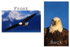 Eagle Soaring Vinyl Checkbook Cover with Matching Bookmark