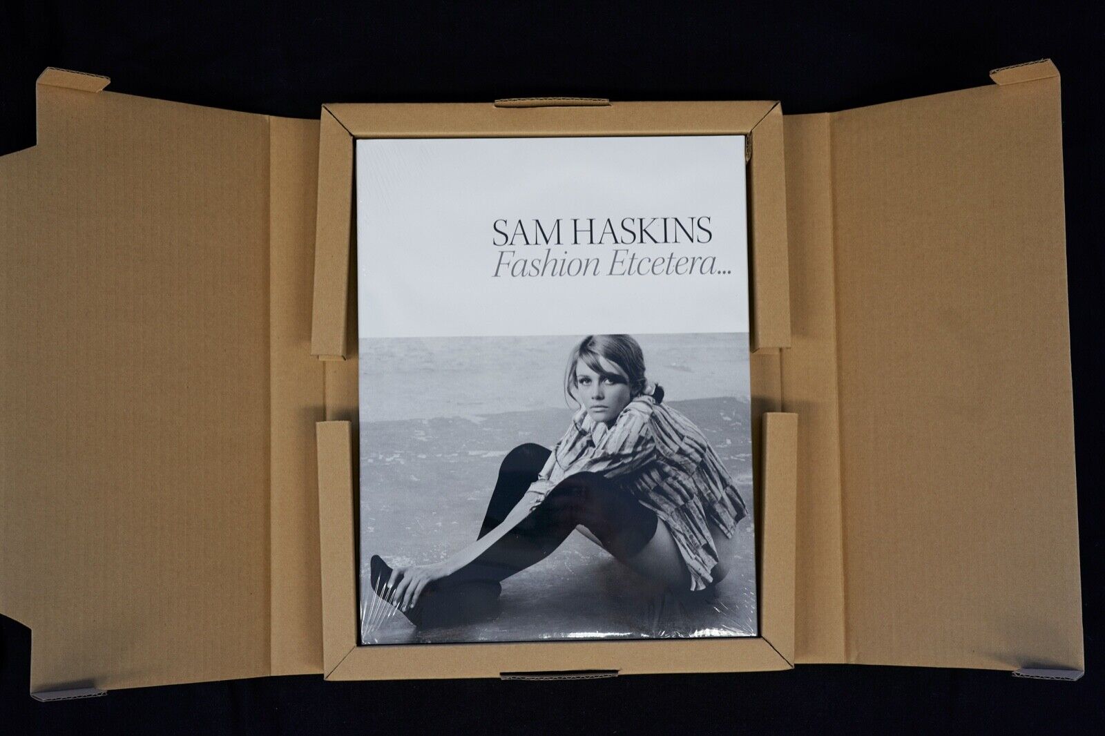 サムハスキン　SAM HASKINS「FASHION ETCETERA」2009