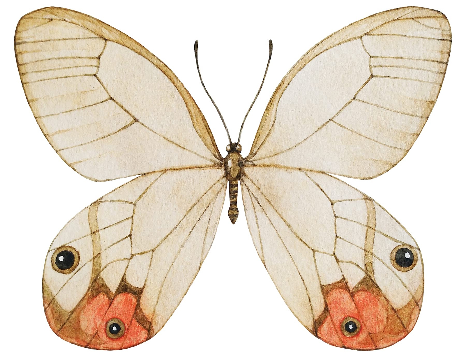 Butterfly Headboard Wall Decal-image