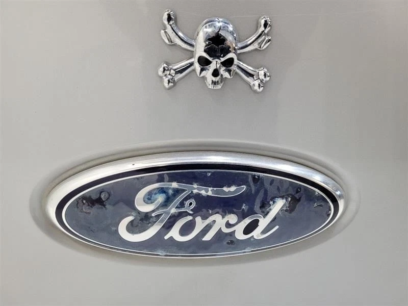 2004-2007 FORD F150 PICKUP Trunk Hatch Tailgate Styleside Box Silver Foto 3 de 4