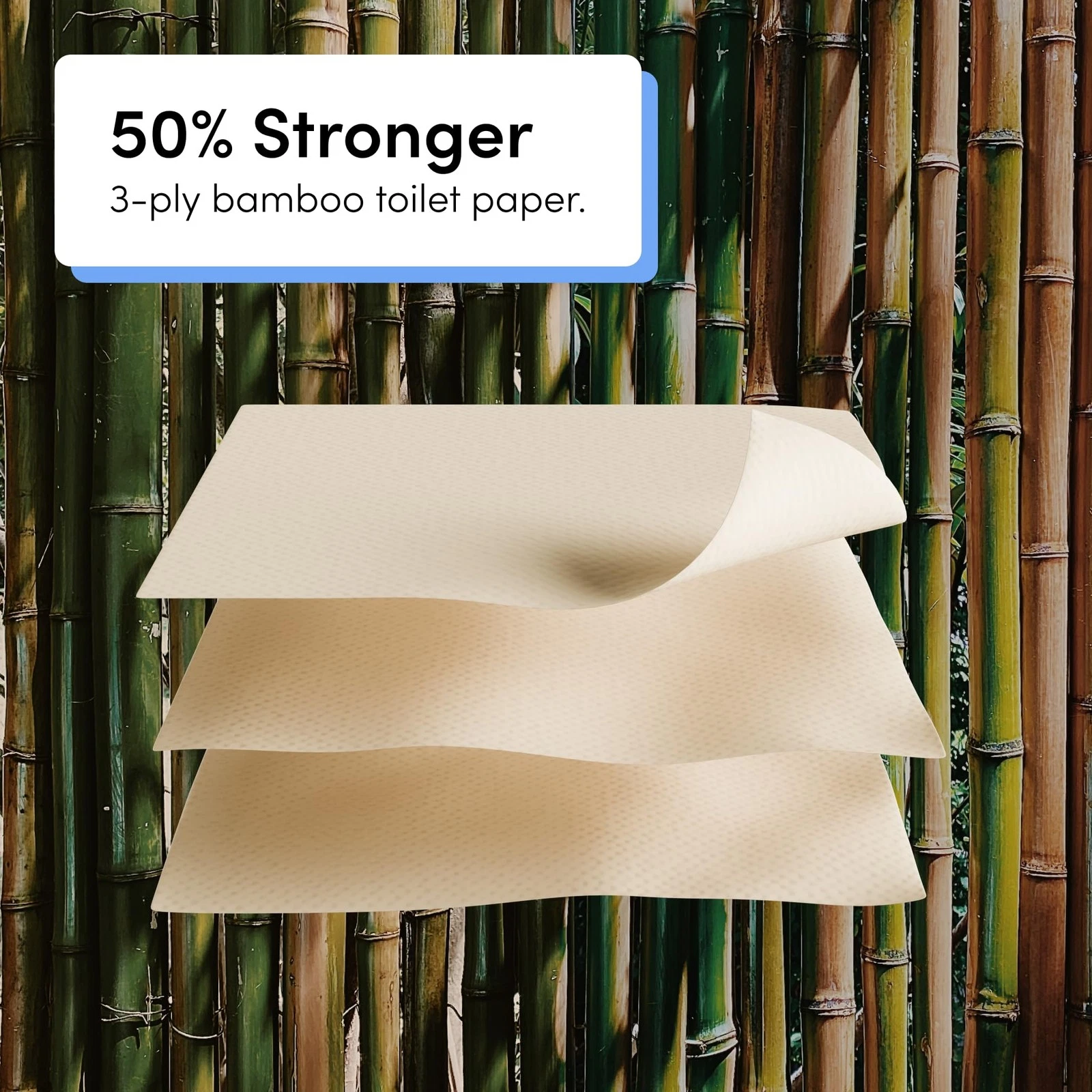 Premium Bamboo Toilet Paper 36 Pack - Thumbnail 5