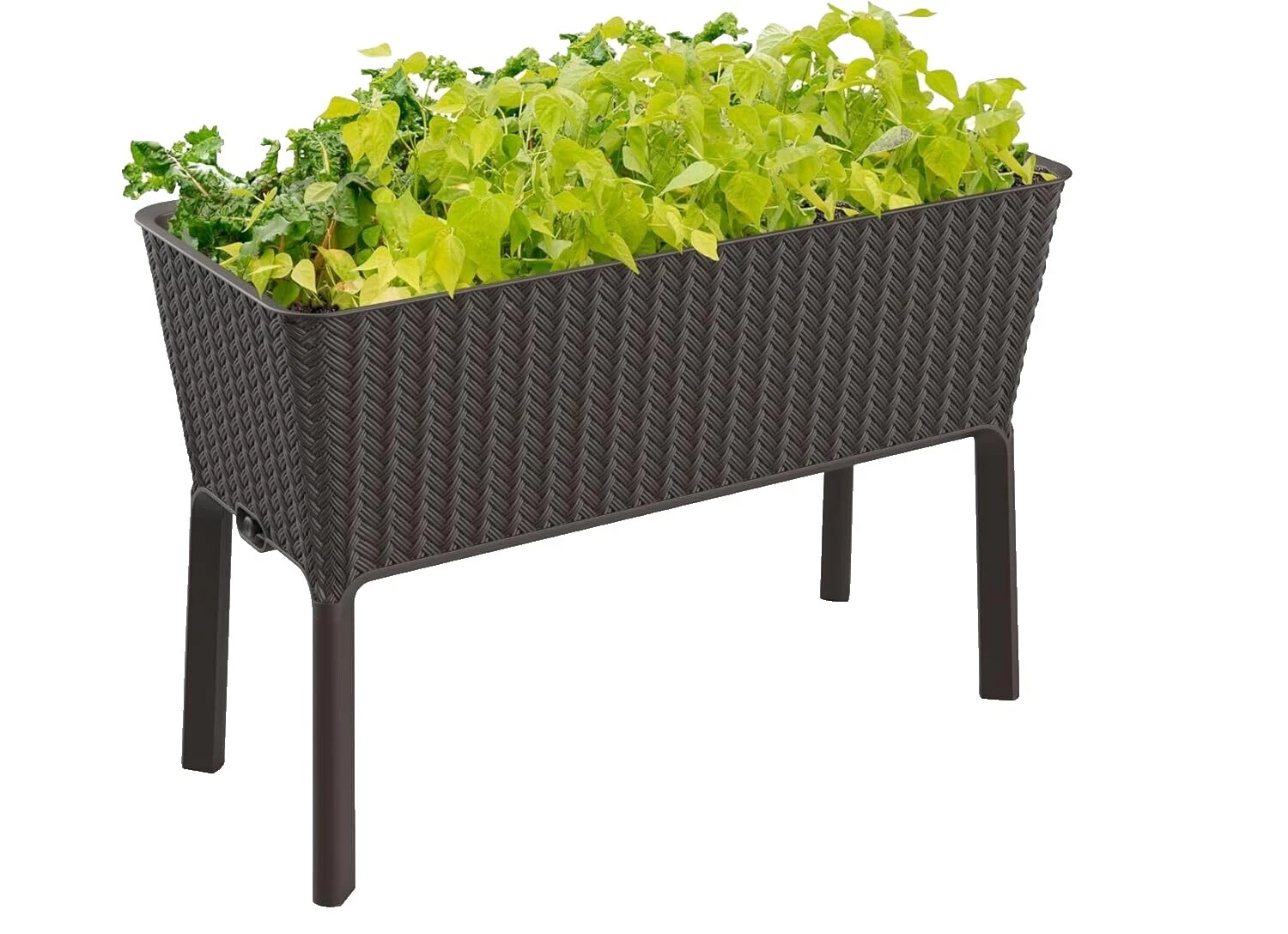 Cestas de plantas Keter Brown, macetas, jardineras y Platillos