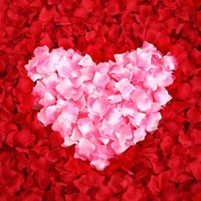 Flower Petals Rose Silk Petals Table Decor Wedding Confetti Engagement Party UK