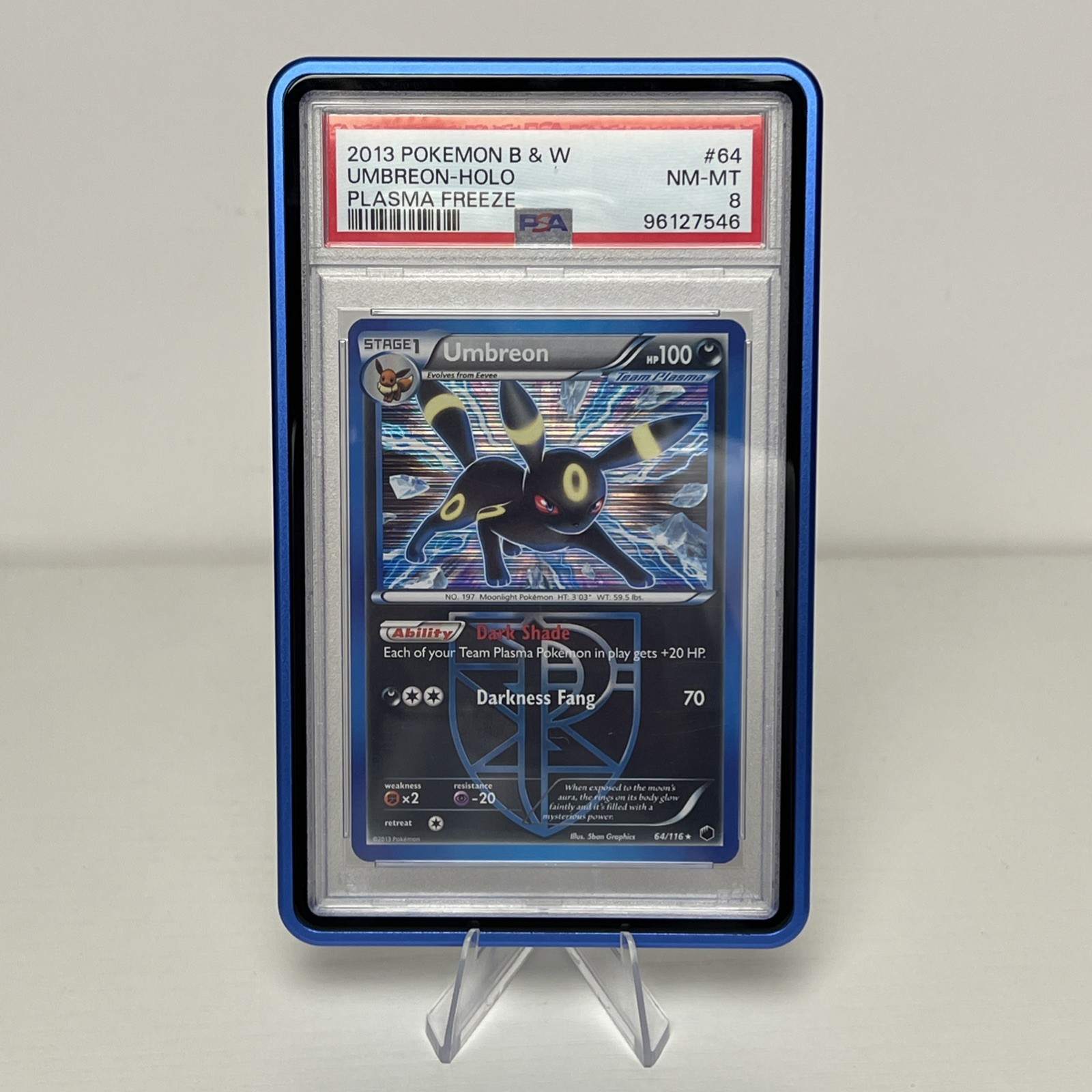 Pokémon Umbreon Team Plasma Freeze Holo Rare #64/116 English 2013 PSA 8