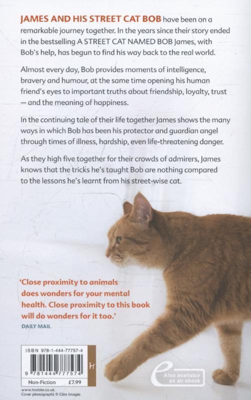 Thumbnail - The World According To Bob | James Bowen | Englisch