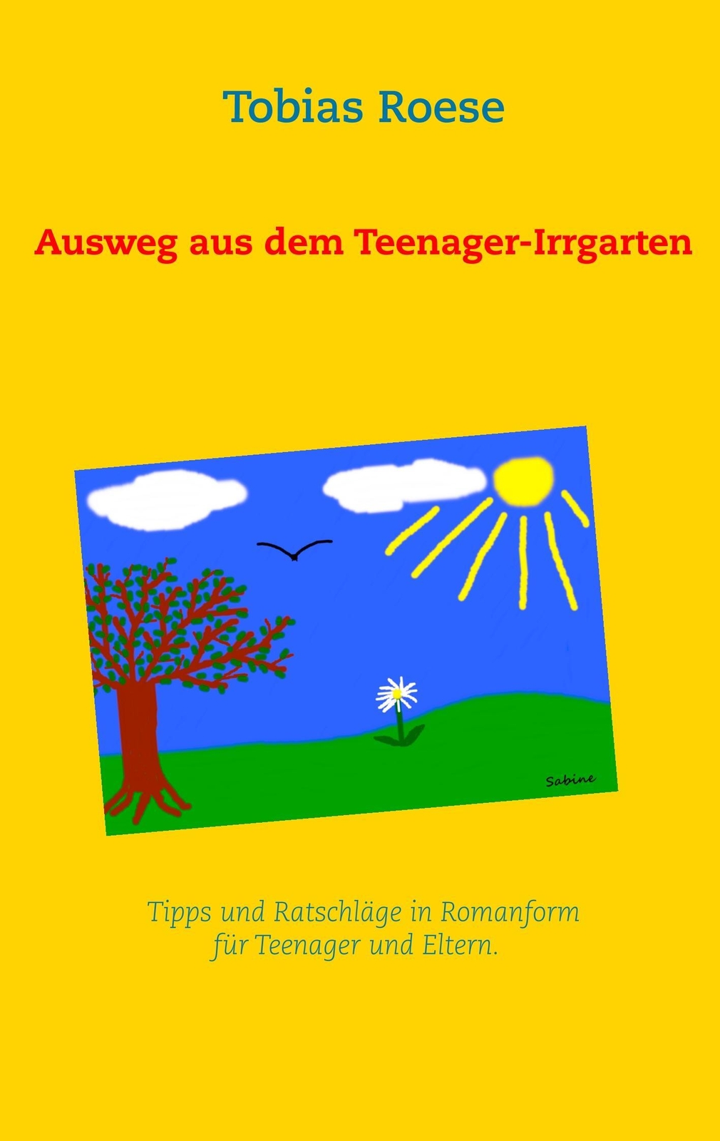 Thumbnail - Ausweg Aus Dem Teenager-irrgarten Tobias Roese Taschenbuch Paperback