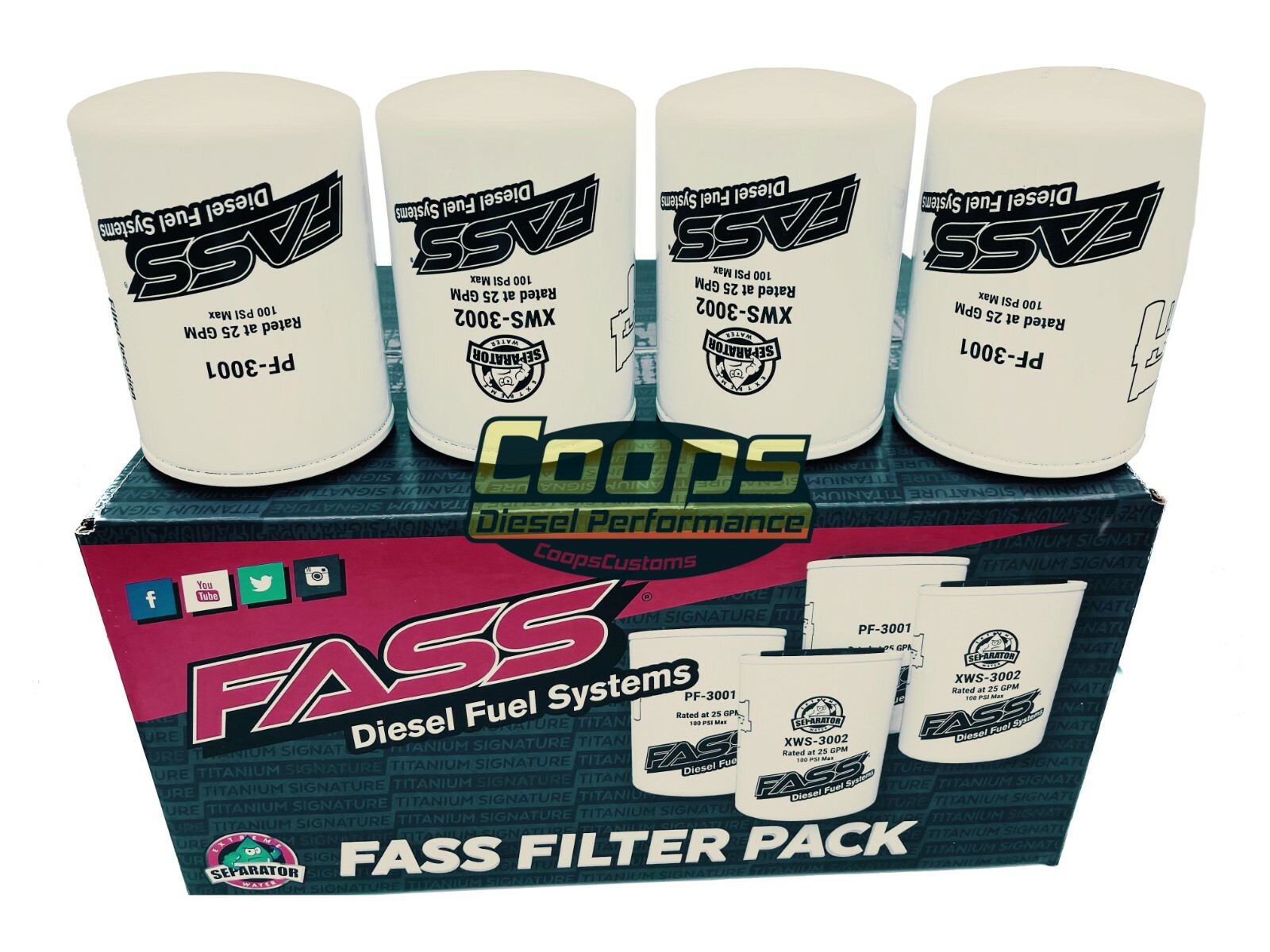 Paquete de filtros FASS 2 juegos de filtros de combustible bomba de