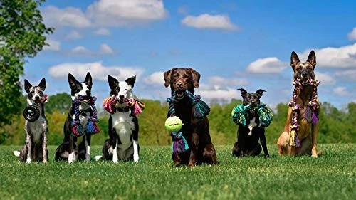 Juguete para perro remolcador cuerda de algodón de 20 pulgadas masticable hilo dental mamut para juego interactivo Foto 4 de 4