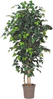 Artplants Kunst Ficus Benjamini Leonoret, EchtstäMme, GrüN, 300Cm