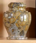 Foto 2 di 3