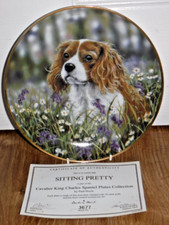 Danbury Mint Plate Cavalier
