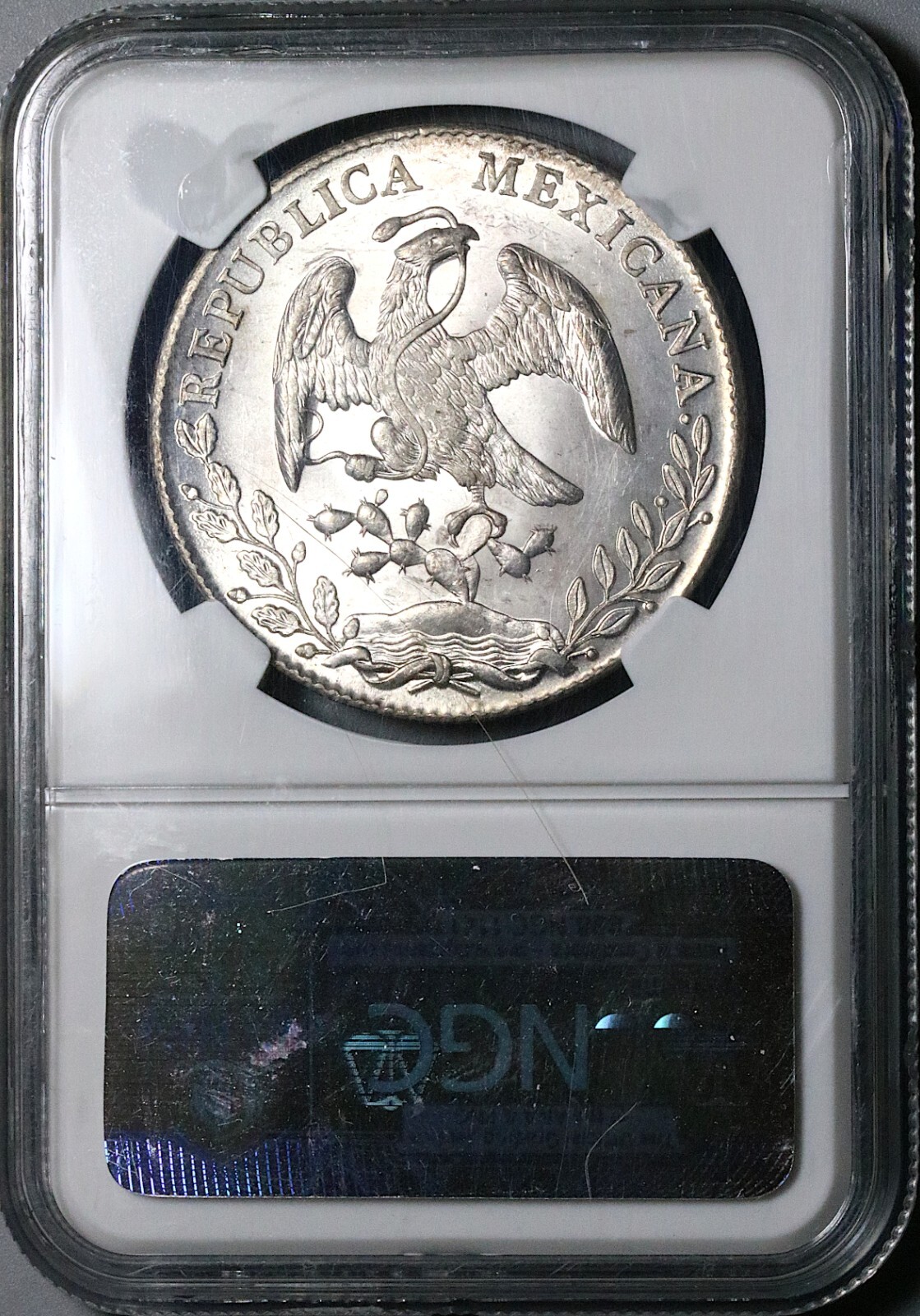 Picture 6 of 6