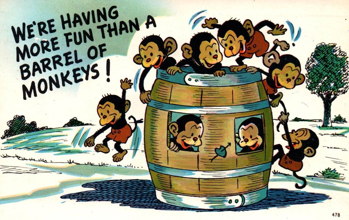 Having More Fun Than A Barrel Of Monkeys Humor Vintage Postcard