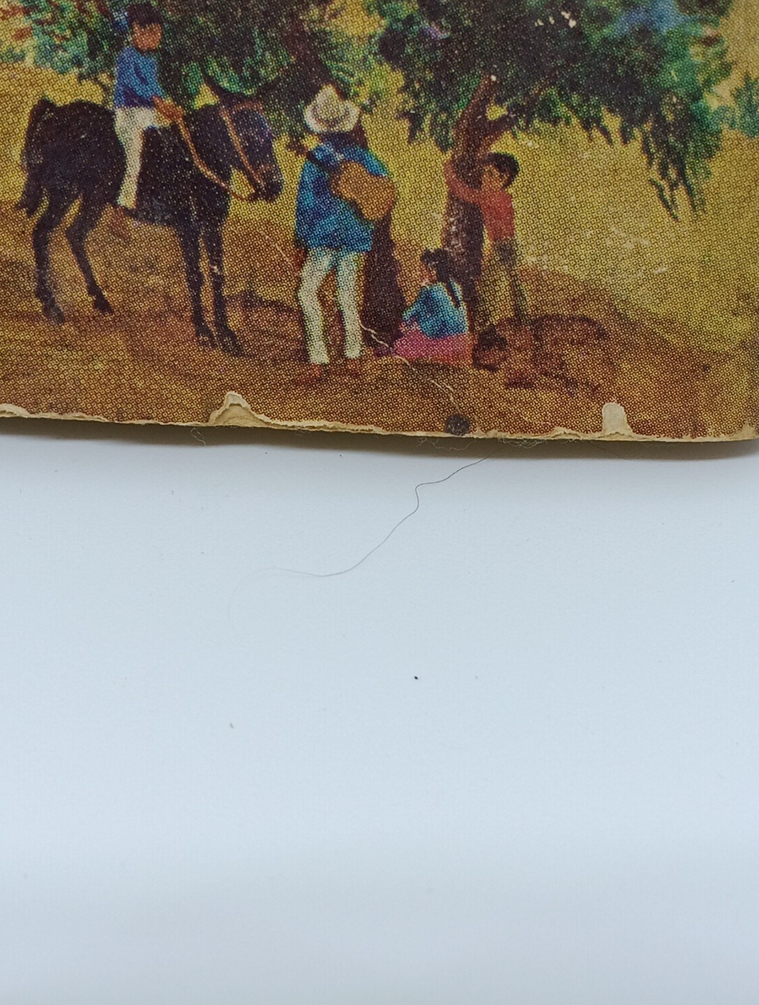 Picture 5 of 8