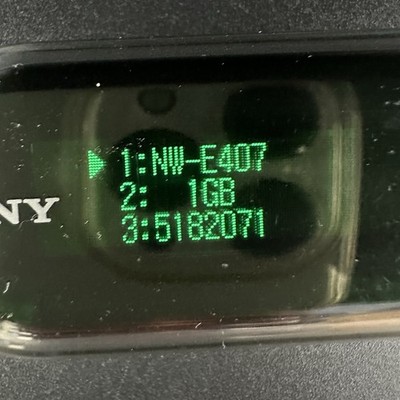 New Battery Sony NW-E407 Fully Tested MP3 Player Net Work Walkman