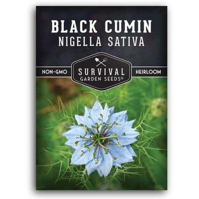 Nigella Sativa Black Cumin For Planting 1 Pack