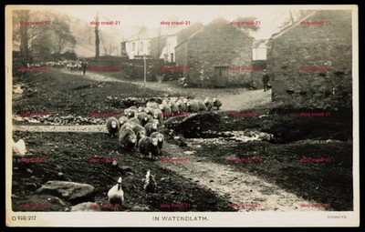 Watendlath Seenplatte Schafherde Landleben Vintage Echt Foto Postkarte