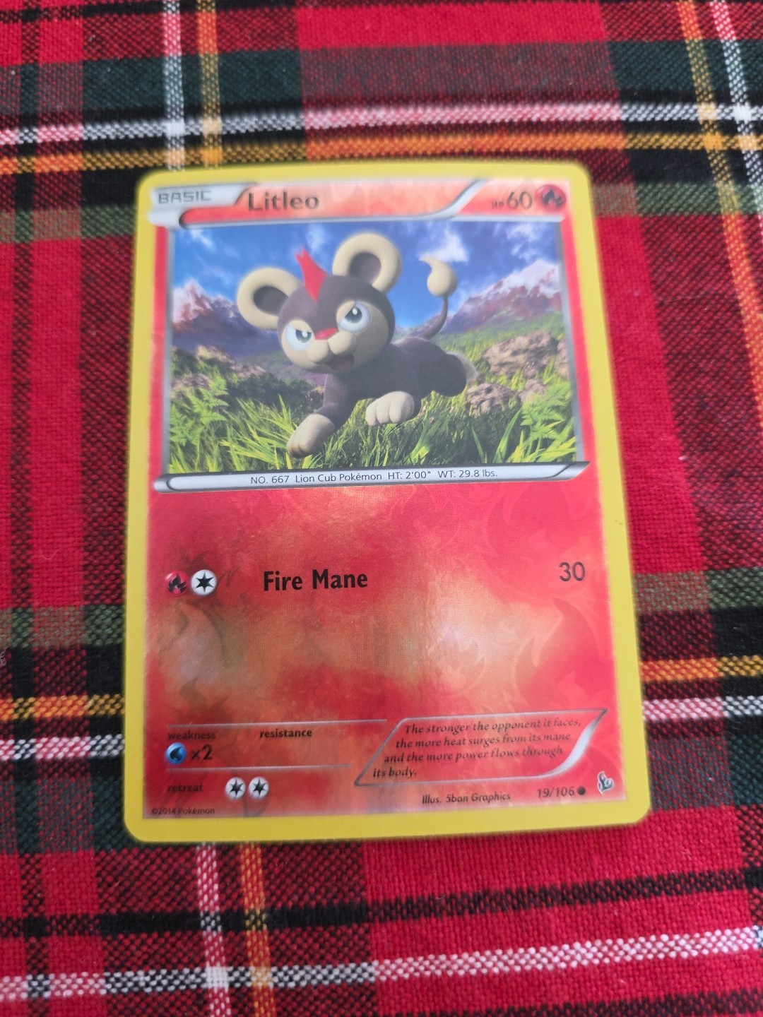 Litleo 19/106 Reverse Holo - XY Flashfire 2014 Pokemon Card