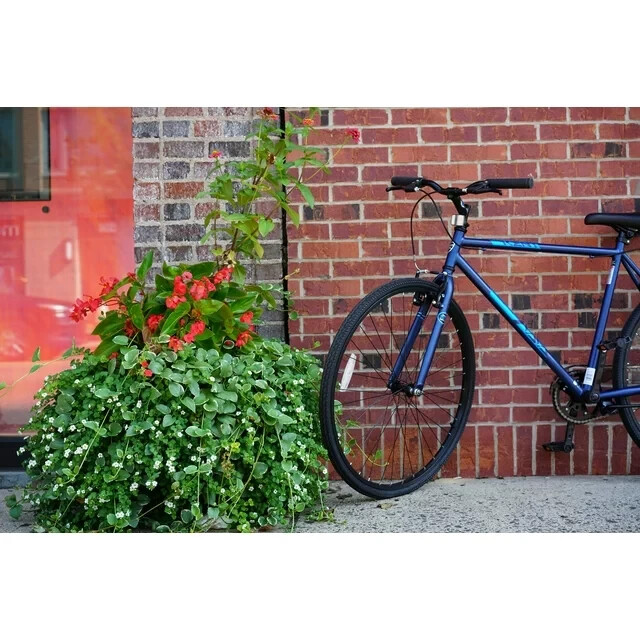 700c Thruster Fixie Bike Steel Frame, Single Speed, Height 5'4"+