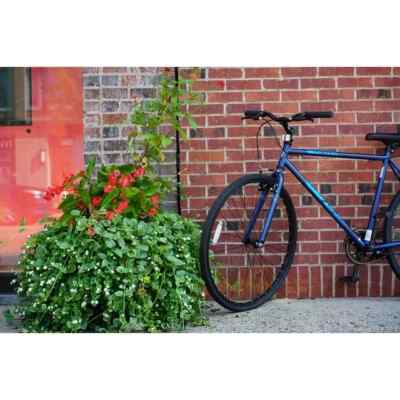 700c Thruster Fixie Bike Steel Frame, Single Speed, Height 5